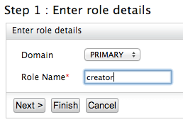 Enter role details