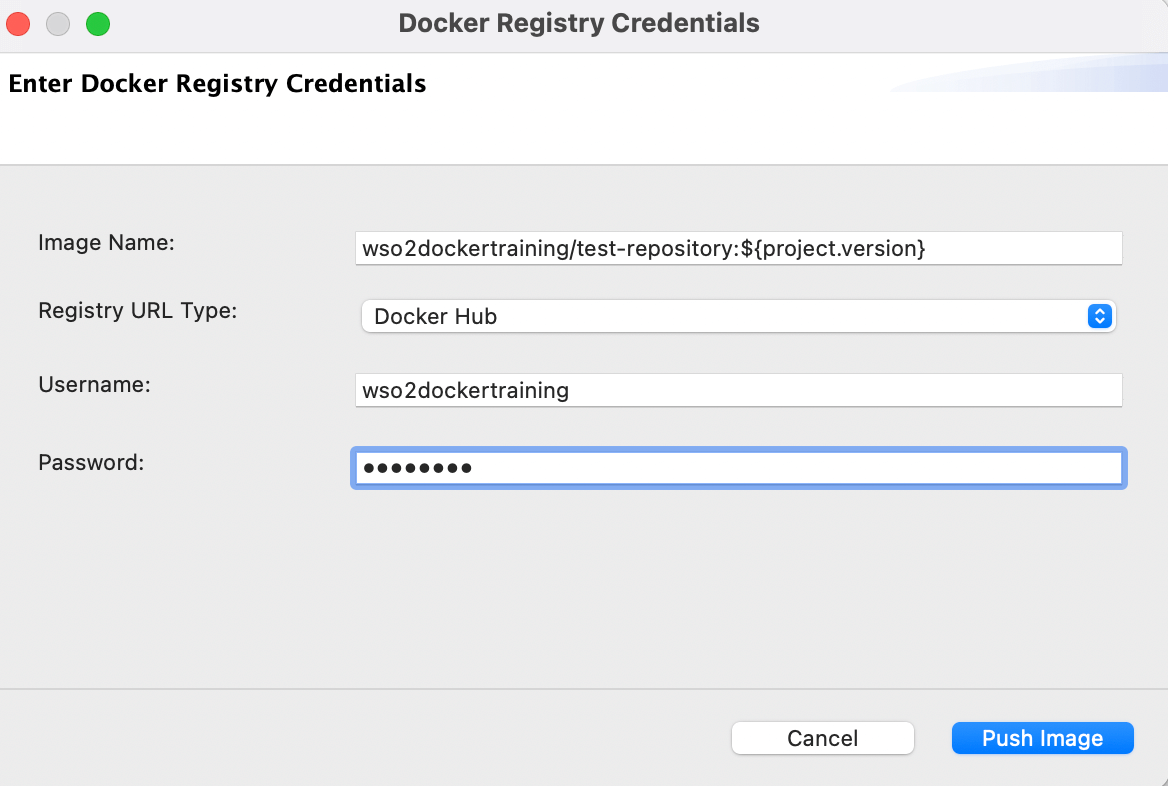 Docker Registry Auth Details